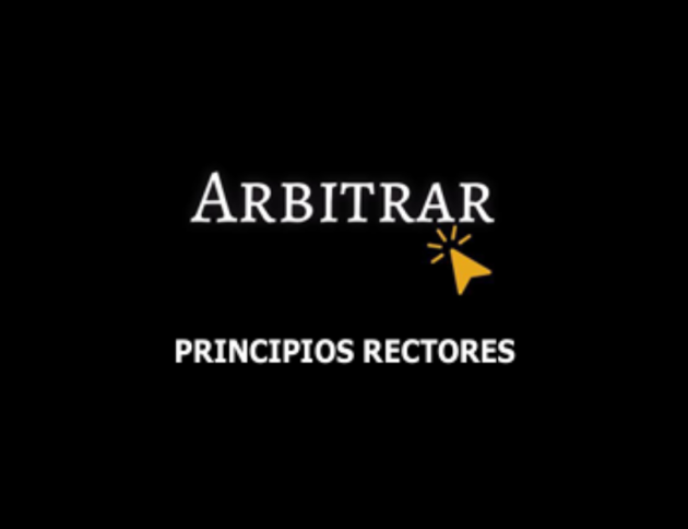 Principios Rectores